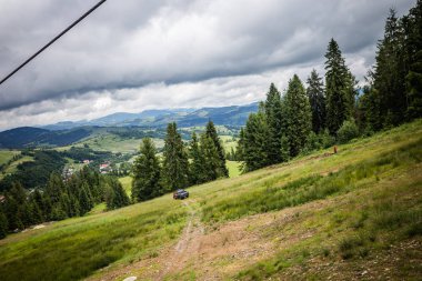 Karpat orman yağmurlu geceden önce. Çam ormanlar ve dağlar ile yaz aylarında manzara. Zakarpattya, Ukrayna.