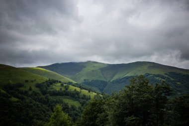 Karpat orman yağmurlu geceden önce. Çam ormanlar ve dağlar ile yaz aylarında manzara. Zakarpattya, Ukrayna.