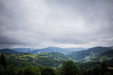 Karpat orman yağmurlu geceden önce. Çam ormanlar ve dağlar ile yaz aylarında manzara. Zakarpattya, Ukrayna.