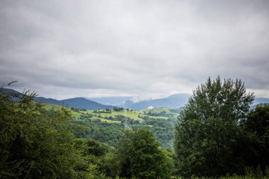 Karpat orman yağmurlu geceden önce. Çam ormanlar ve dağlar ile yaz aylarında manzara. Zakarpattya, Ukrayna.
