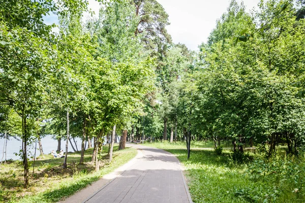 木と公園の緑の芝生フィールド上の通路 — ストック写真