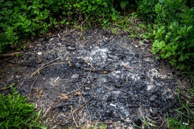 şenlik ateşine yanmış dallarda