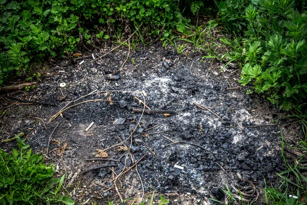 Burnt Branches Bonfire — Stock Photo, Image
