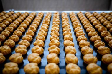 Profitrols ekmek fabrikasında bir konveyör bant üzerinde