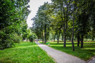parlak güneşli havalarda şehrin ortasındaki yeşil park