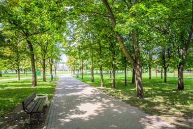 parlak güneşli havalarda şehrin ortasındaki yeşil park