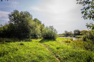 parlak güneşli havalarda şehrin ortasındaki yeşil park