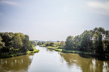 parlak güneşli havalarda şehrin ortasındaki yeşil park