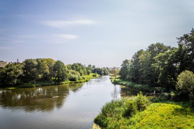 parlak güneşli havalarda şehrin ortasındaki yeşil park