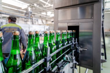 şampanya şarap şişe konveyör üzüm ve köpüklü şarap fabrikası'nda boyunca hareket ediyor