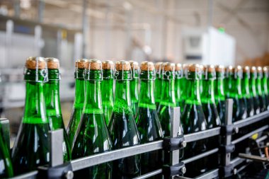 şampanya şarap şişe konveyör üzüm ve köpüklü şarap fabrikası'nda boyunca hareket ediyor