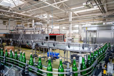 şampanya şarap şişe konveyör üzüm ve köpüklü şarap fabrikası'nda boyunca hareket ediyor