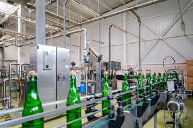 şampanya şarap şişe konveyör üzüm ve köpüklü şarap fabrikası'nda boyunca hareket ediyor