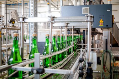 şampanya şarap şişe konveyör üzüm ve köpüklü şarap fabrikası'nda boyunca hareket ediyor