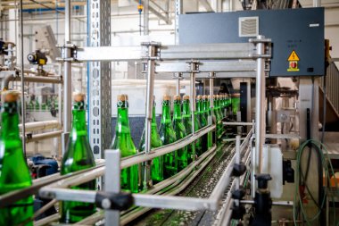 şampanya şarap şişe konveyör üzüm ve köpüklü şarap fabrikası'nda boyunca hareket ediyor
