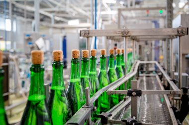 şampanya şarap şişe konveyör üzüm ve köpüklü şarap fabrikası'nda boyunca hareket ediyor