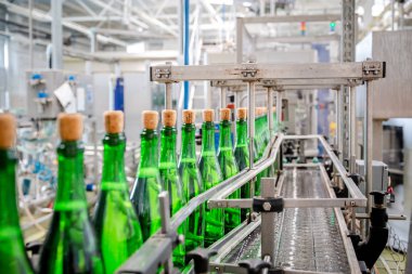 şampanya şarap şişe konveyör üzüm ve köpüklü şarap fabrikası'nda boyunca hareket ediyor