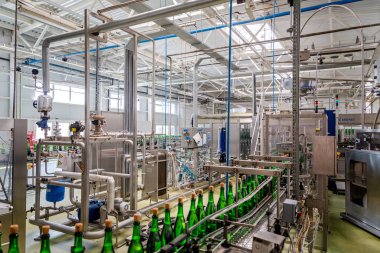 şampanya şarap şişe konveyör üzüm ve köpüklü şarap fabrikası'nda boyunca hareket ediyor