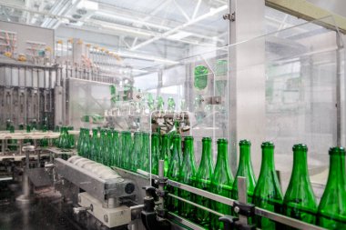 şampanya şarap şişe konveyör üzüm ve köpüklü şarap fabrikası'nda boyunca hareket ediyor