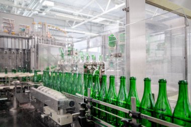 şampanya şarap şişe konveyör üzüm ve köpüklü şarap fabrikası'nda boyunca hareket ediyor