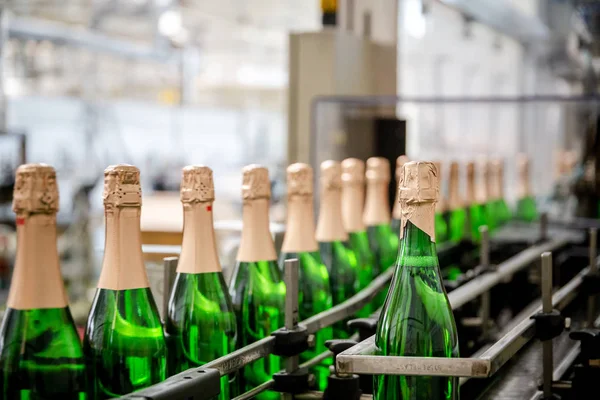 şampanya şarap şişe konveyör üzüm ve köpüklü şarap fabrikası'nda boyunca hareket ediyor