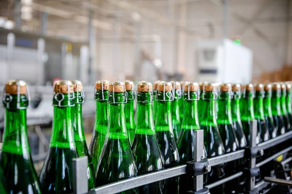 şampanya şarap şişe konveyör üzüm ve köpüklü şarap fabrikası'nda boyunca hareket ediyor