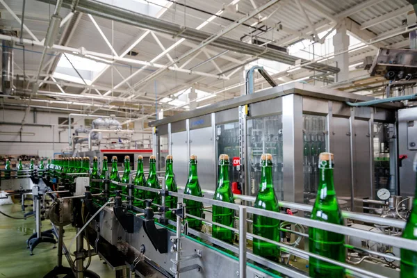 şampanya şarap şişe konveyör üzüm ve köpüklü şarap fabrikası'nda boyunca hareket ediyor