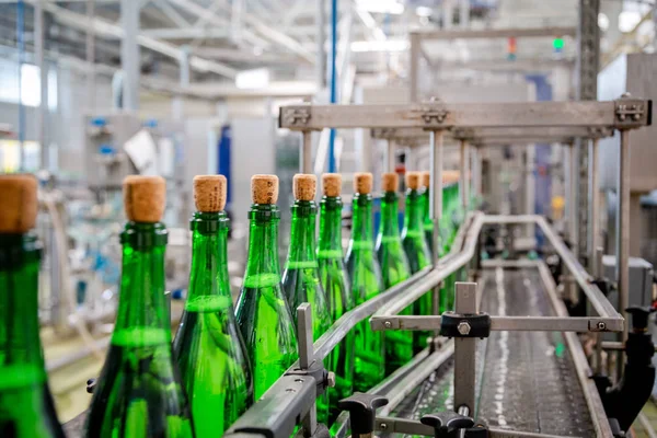 şampanya şarap şişe konveyör üzüm ve köpüklü şarap fabrikası'nda boyunca hareket ediyor