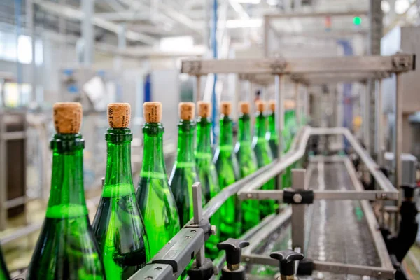 Butelki Winem Szampana Poruszają Się Wzdłuż Przenośnika Fabryce Winogron Wina — Zdjęcie stockowe