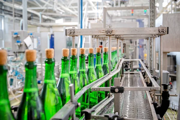 bottles with champagne wine are moving along the conveyor at the factory of grape and sparkling wine