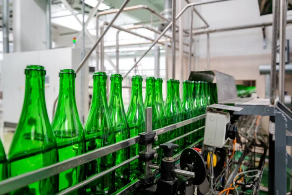 bottles with champagne wine are moving along the conveyor at the factory of grape and sparkling wine