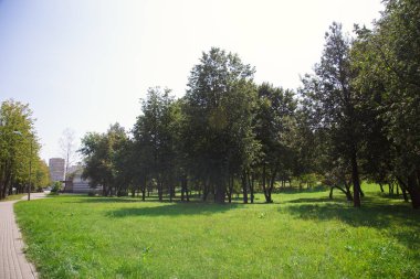Güneşli aydınlık yaz havalarda şehir merkezinde Park