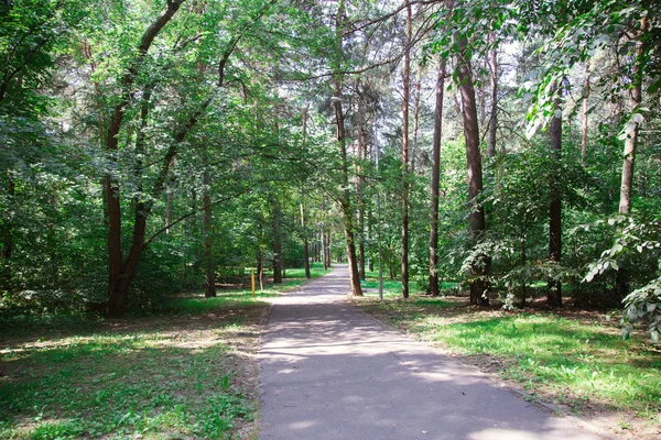 Park Centrum Miasta Słoneczne Lato Jasne — Zdjęcie stockowe