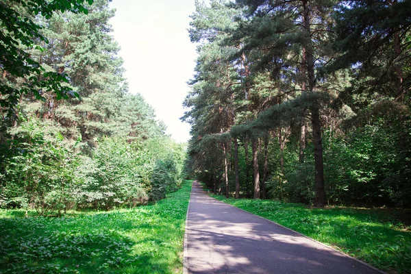 日当たりの良い明るい夏の天候で市内中心部の公園 — ストック写真