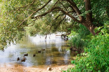 Güneşli aydınlık yaz havalarda şehir merkezinde Park