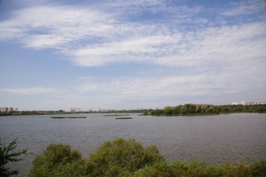 Güneşli aydınlık yaz havalarda şehir merkezinde Park