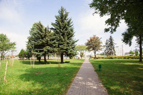 Güneşli Aydınlık Yaz Havalarda Şehir Merkezinde Park — Stok fotoğraf