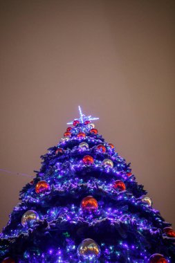 gece şehir merkezinde güzel Noel ağacı