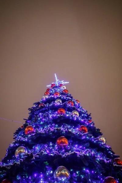市内中心部の夜の美しいクリスマス ツリー — ストック写真