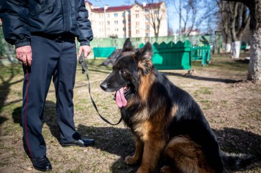 Minsk, Beyaz Rusya - 1 Marth, 2019: Bir polis bir servis köpeği trenler