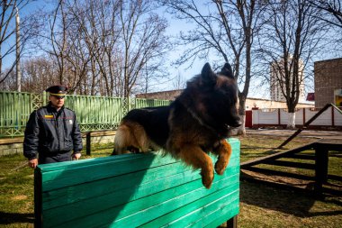 Minsk, Beyaz Rusya - 1 Marth, 2019: Bir polis bir servis köpeği trenler