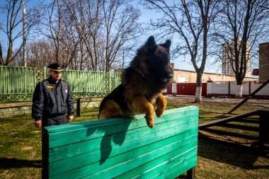 Minsk, Beyaz Rusya - 1 Marth, 2019: Bir polis bir servis köpeği trenler