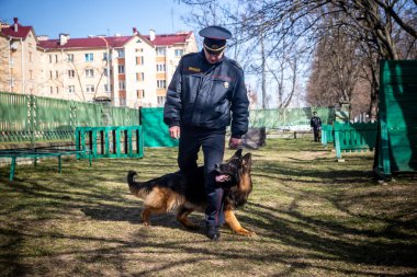 Minsk, Beyaz Rusya - 1 Marth, 2019: Bir polis bir servis köpeği trenler