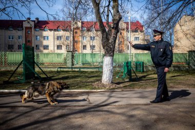 Minsk, Beyaz Rusya - 1 Marth, 2019: Bir polis bir servis köpeği trenler