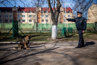 Minsk, Beyaz Rusya - 1 Marth, 2019: Bir polis bir servis köpeği trenler