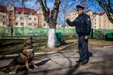 Minsk, Beyaz Rusya - 1 Marth, 2019: Bir polis bir servis köpeği trenler