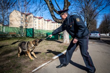 Minsk, Beyaz Rusya - 1 Marth, 2019: Bir polis bir servis köpeği trenler