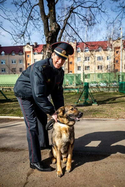 Mińsk, Białoruś-1 Marth, 2019: policjant trenuje psa serwisowego — Zdjęcie stockowe