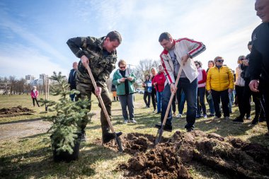 Minsk, Beyaz Rusya - 1 Marth, 2019: dost aile bir ağaç diker