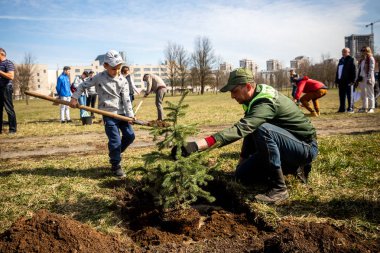 Minsk, Beyaz Rusya - 1 Marth, 2019: dost aile bir ağaç diker